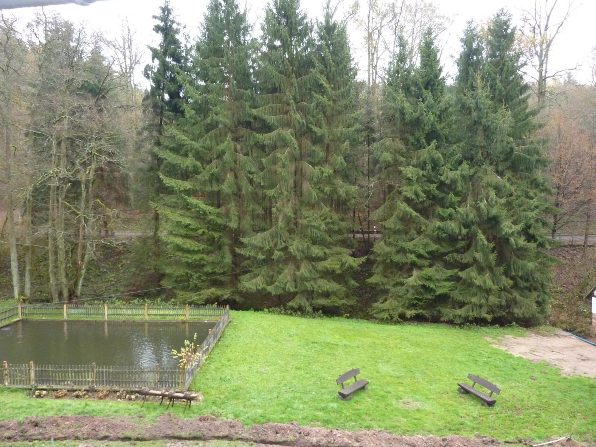 Hof Guttels Waldgasthof Ferienpension Rotenburg an der Fulda